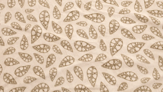 Fleece Carpet Klondike and Settler Field
