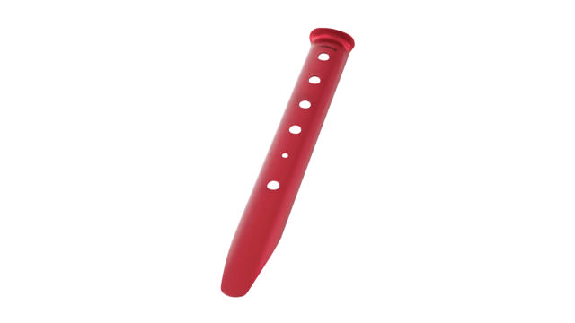 Snow and Sand Stake 